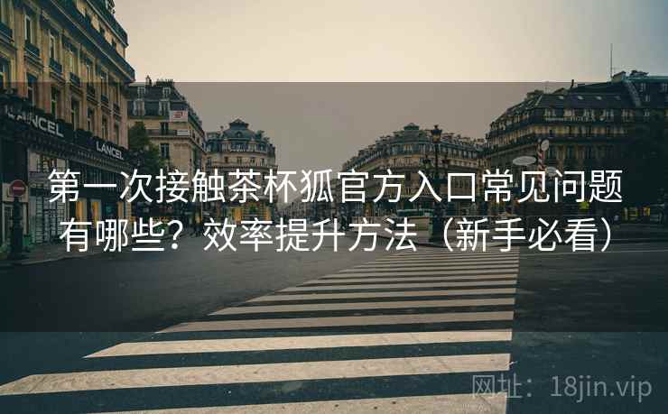 第一次接触茶杯狐官方入口常见问题有哪些？效率提升方法（新手必看）