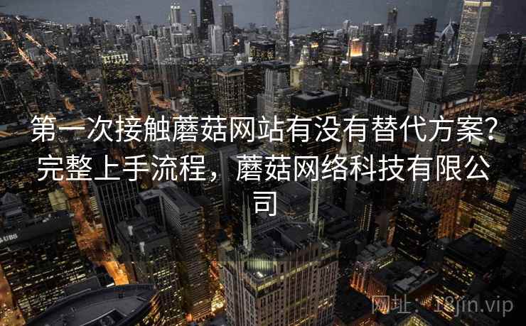 第一次接触蘑菇网站有没有替代方案？完整上手流程，蘑菇网络科技有限公司