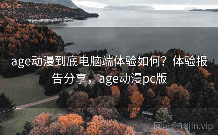 age动漫到底电脑端体验如何？体验报告分享，age动漫pc版