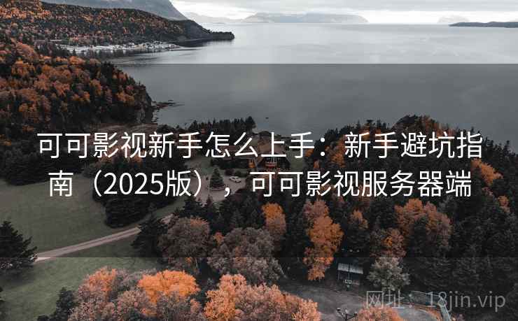 可可影视新手怎么上手：新手避坑指南（2025版），可可影视服务器端