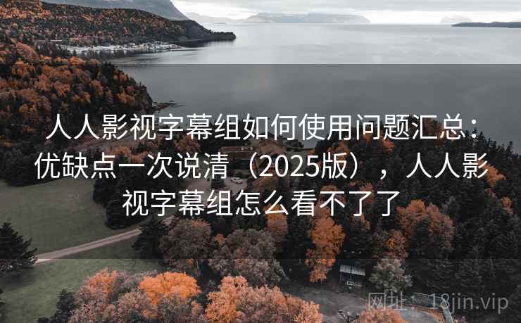 人人影视字幕组如何使用问题汇总：优缺点一次说清（2025版），人人影视字幕组怎么看不了了