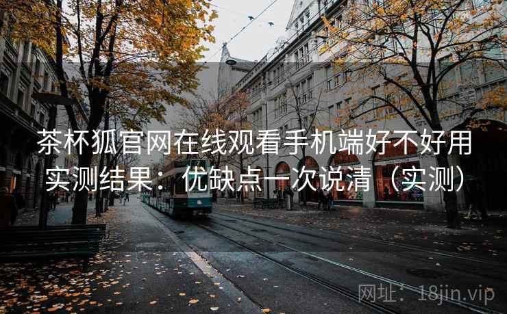 茶杯狐官网在线观看手机端好不好用实测结果：优缺点一次说清（实测）